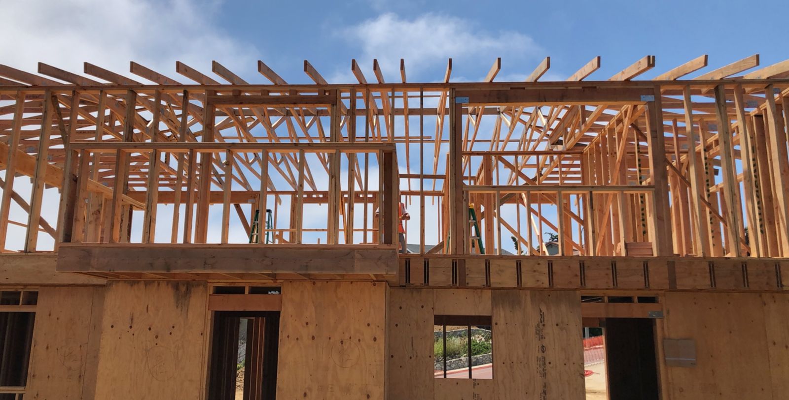 Multi-story frame with rafter overhangs and plywood shear walls