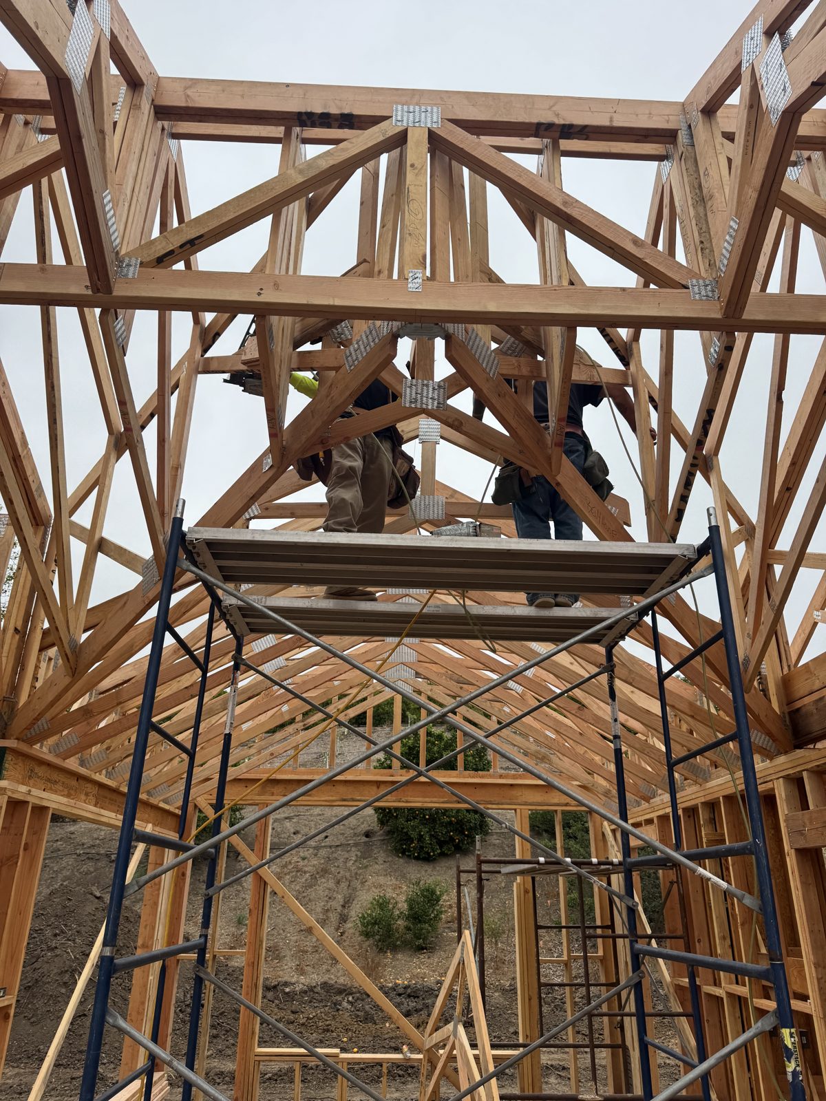 Complex roof truss framing viewed from scaffold with carpenter working above